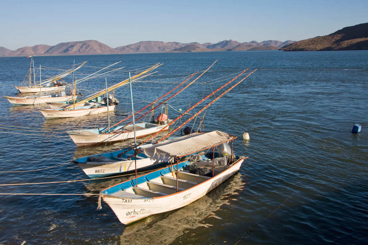 Pesca con ARCO - Pesca en Topolobampo,Sinaloa. 