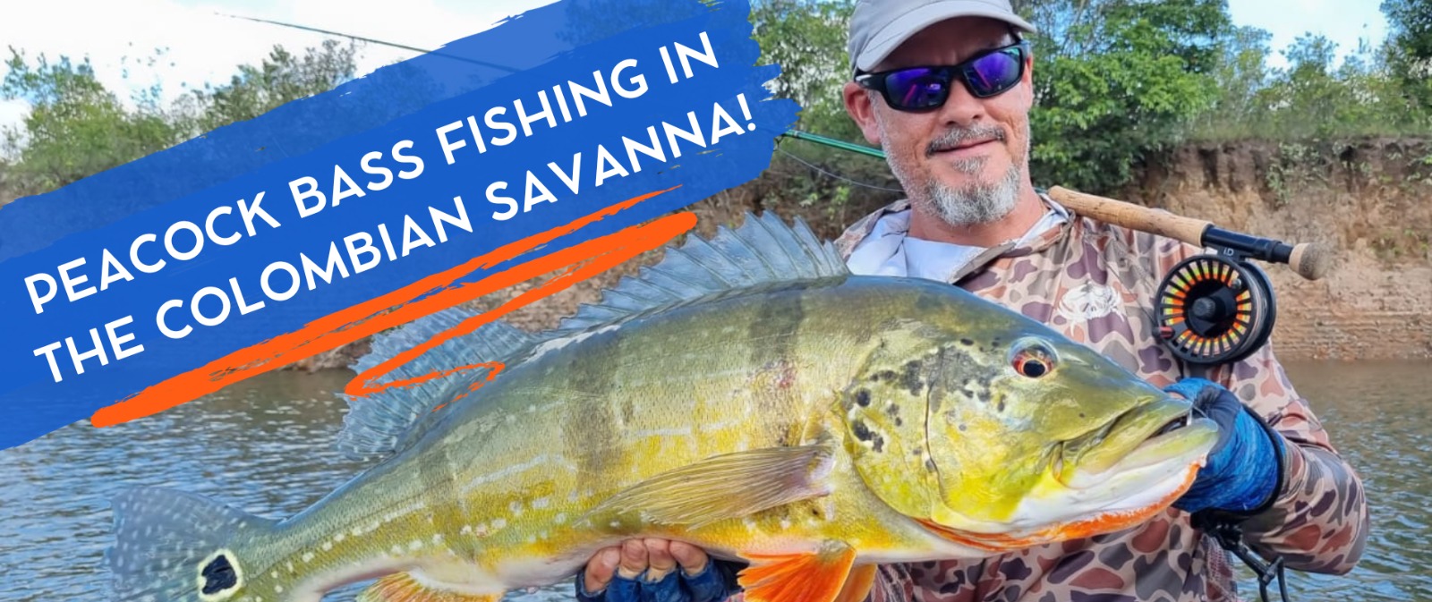 Come and fish Peacock Bass in the Caño Gavilán River in Colombia! ⋆ Nomonday